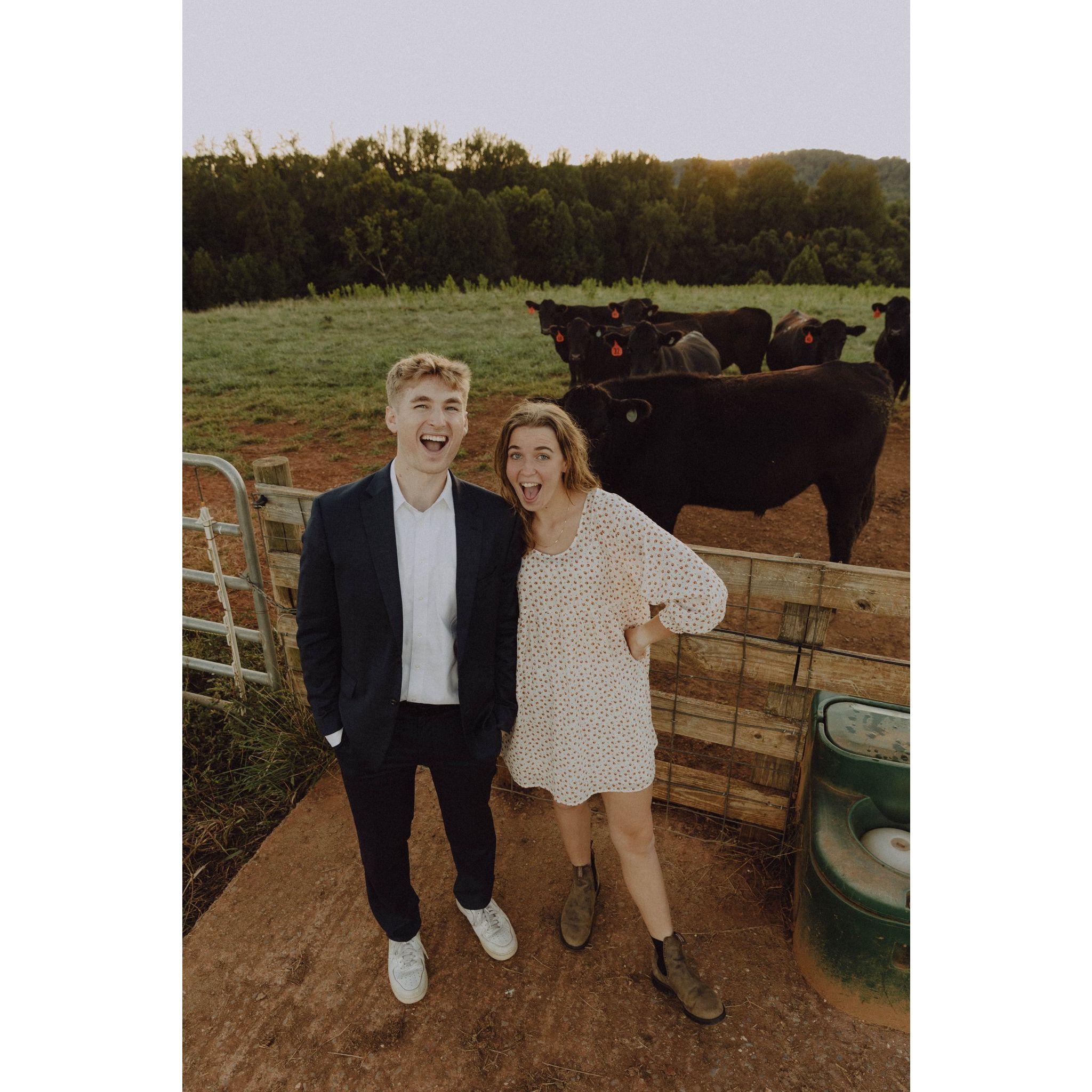 mooo