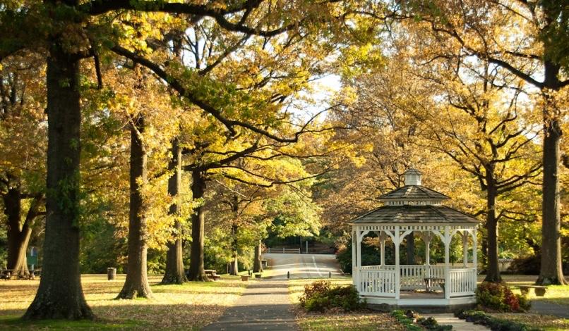 The Wedding Website of Gracie Cook and Peter Gerolamo