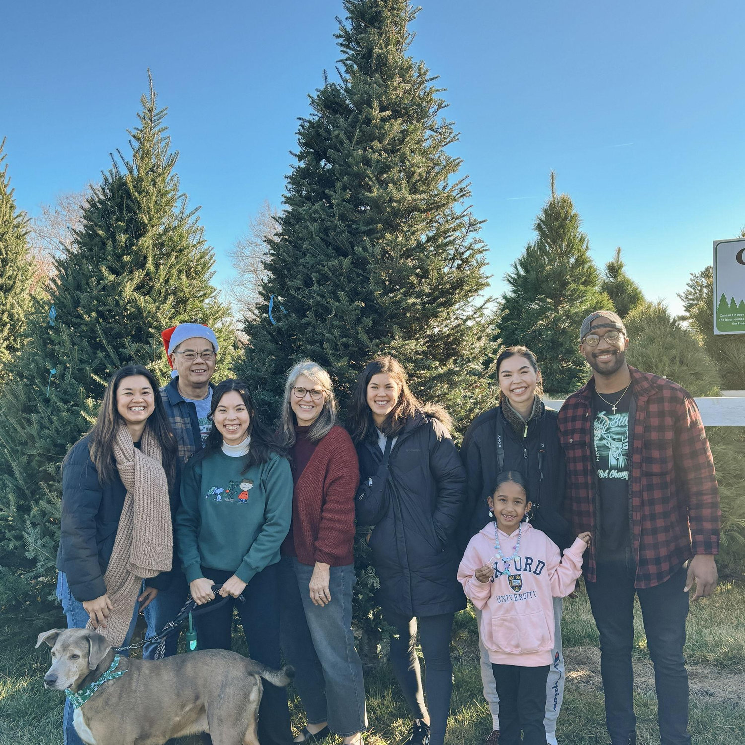 Zola & JB joined in on the Cheng Christmas tradition of cutting down a Christmas tree 🎄