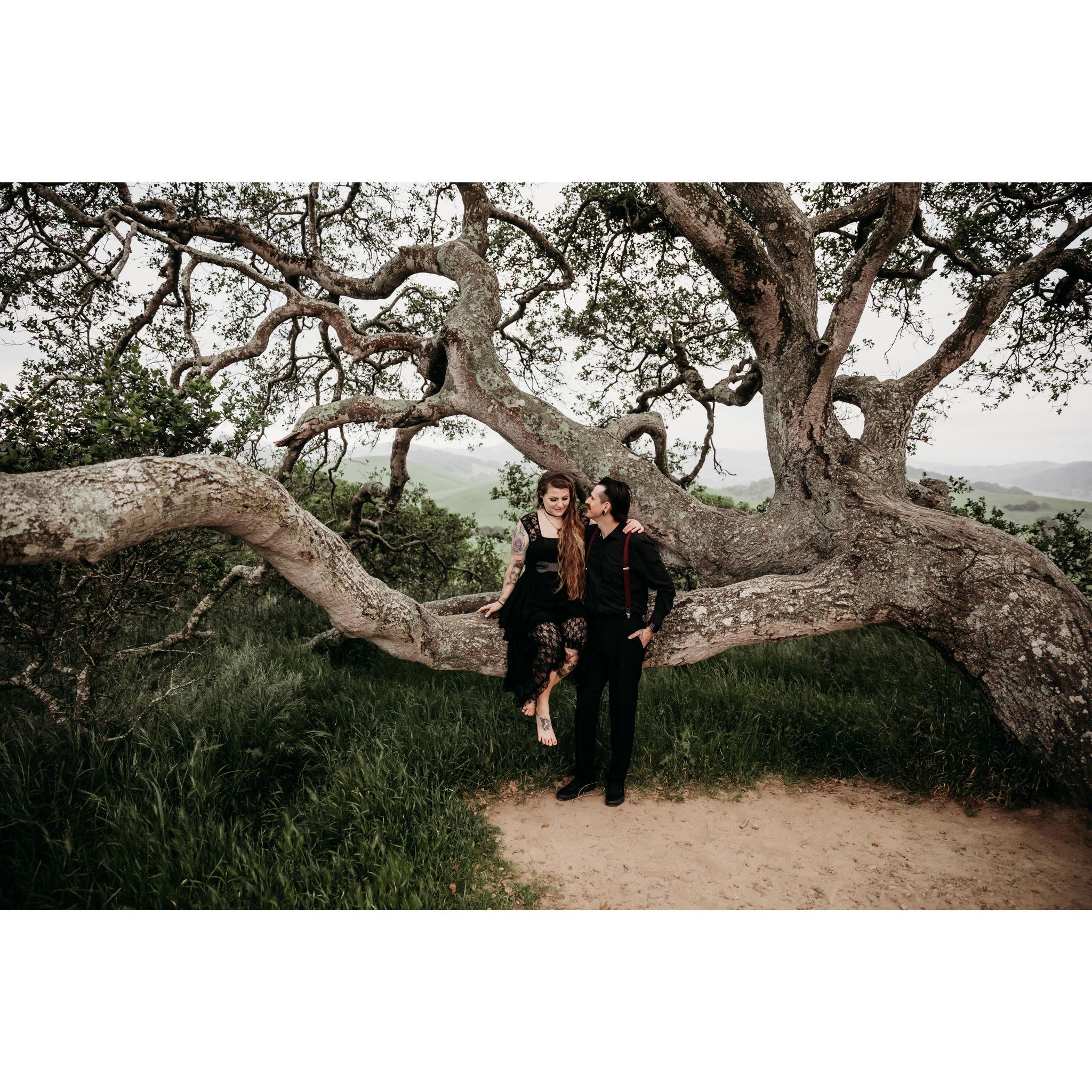 Vera Francis Photography