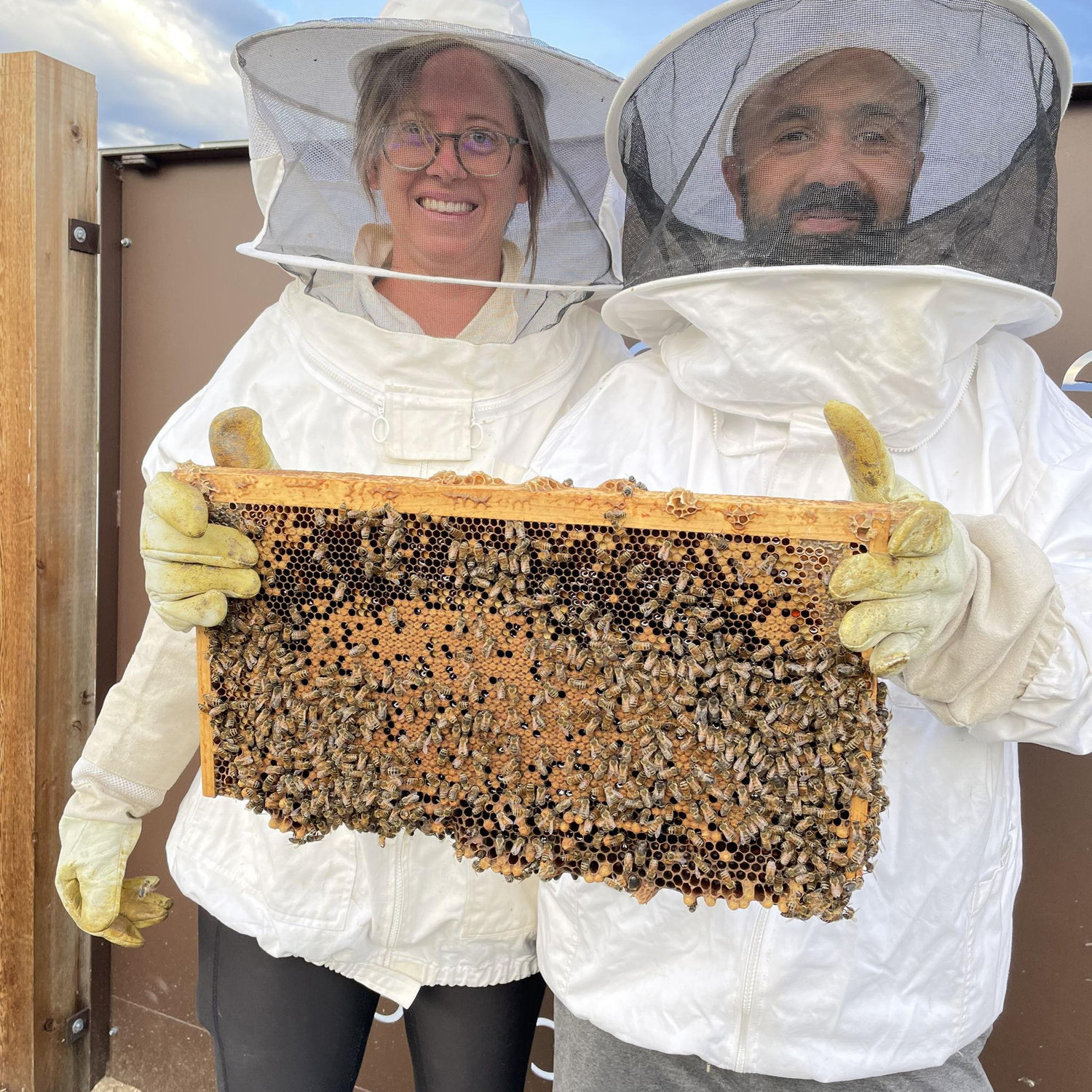 We've become beekeepers