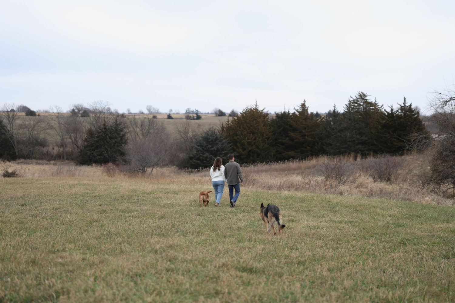 The Wedding Website of Dani Anderson and Reed Kale