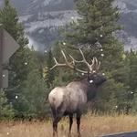 Rocky Mountain National Park