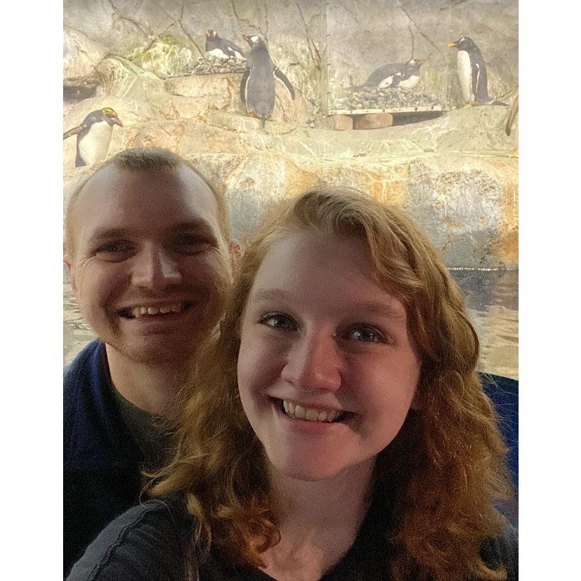 Our first trip to the Chattanooga Aquarium!