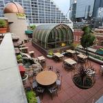 Reata Rooftop Restaurant