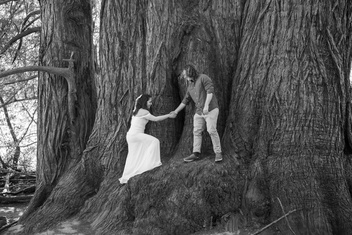 The Wedding Website of Zoe Siegel and Jason Petersen