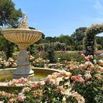 El Retiro Park
