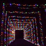 Clarksville Speedway & Fairgrounds (Drive through Christmas lights)