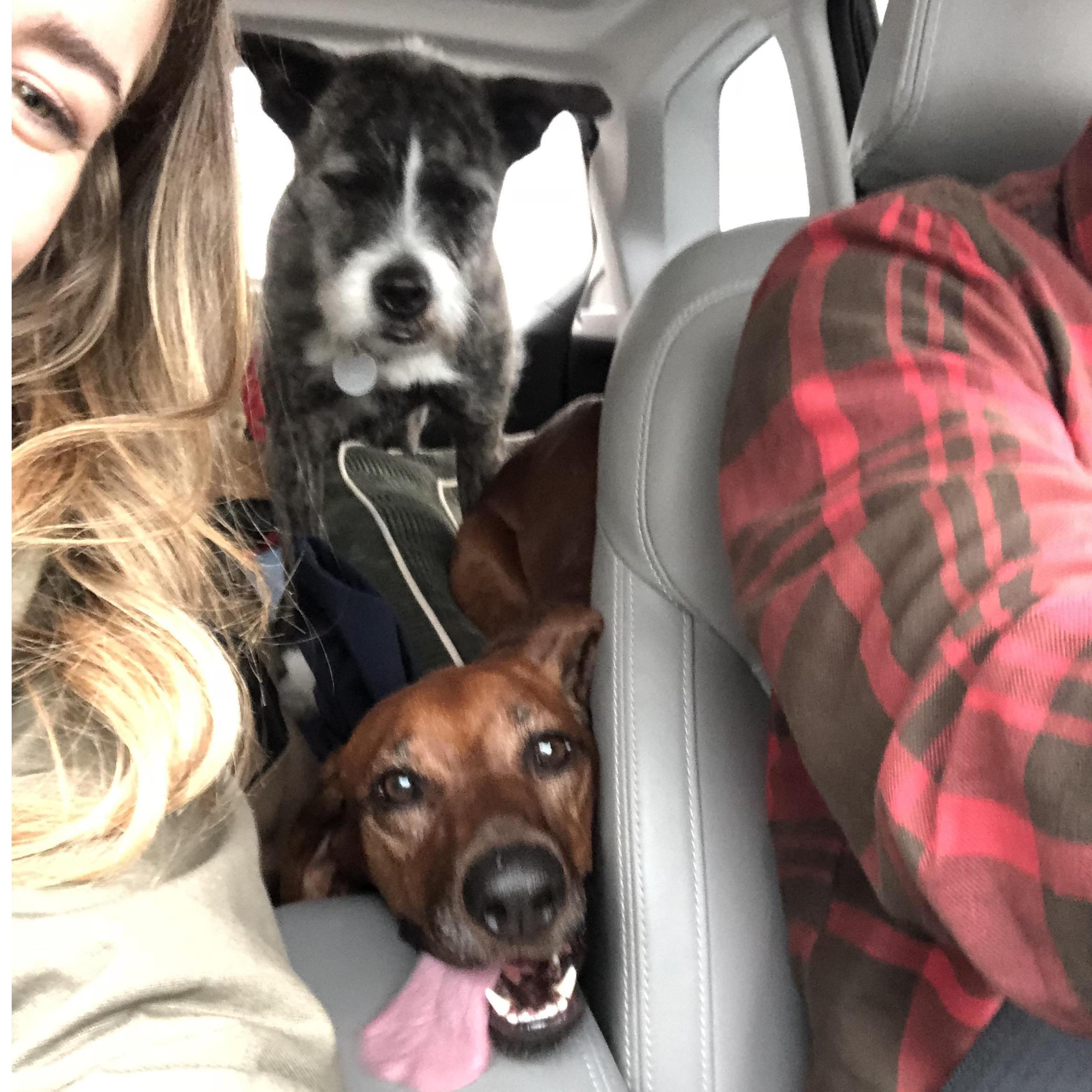 First road trip to CT to meet Joe's family! And first time experience Allis's fear of highways.