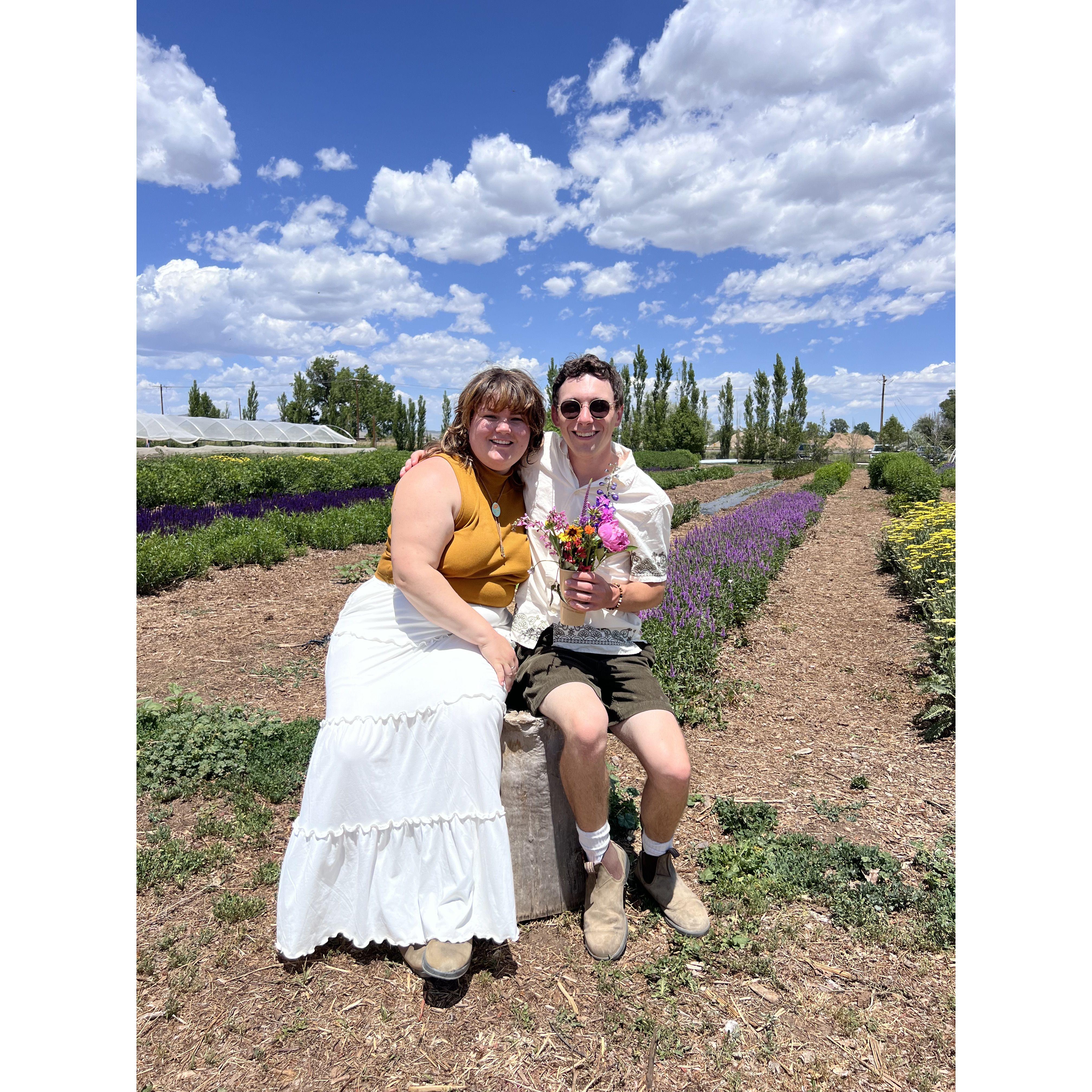 Flower picking in Fort Collins