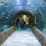 New Orleans Aquarium