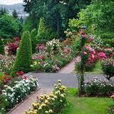 International Rose Test Garden