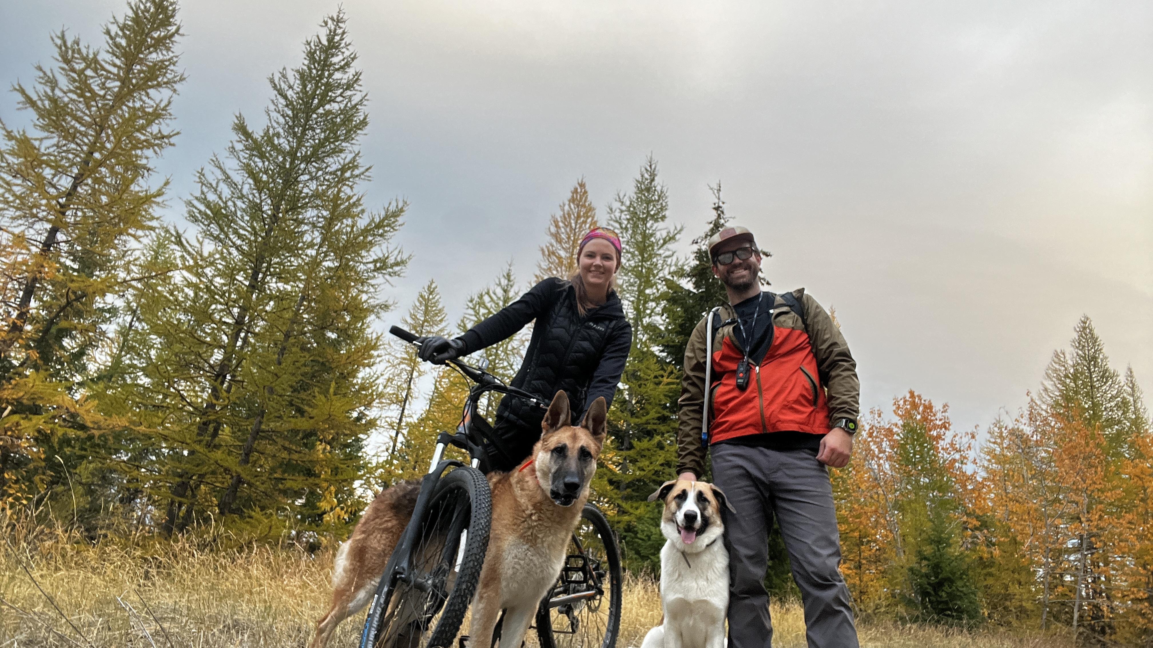 The Wedding Website of Donna Tomaso and Michael Kintzler