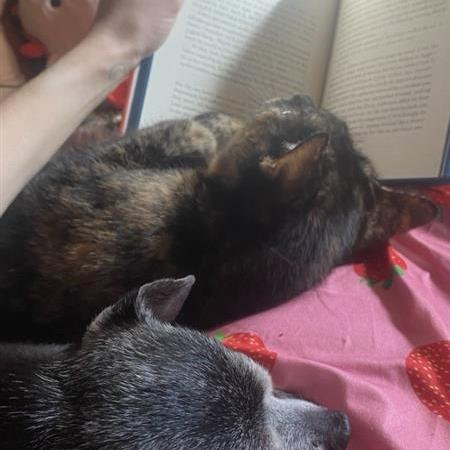 And a good book