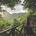 Vermont Hike & Bird Watching Experience