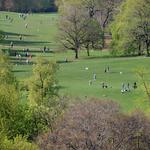 Prospect Park