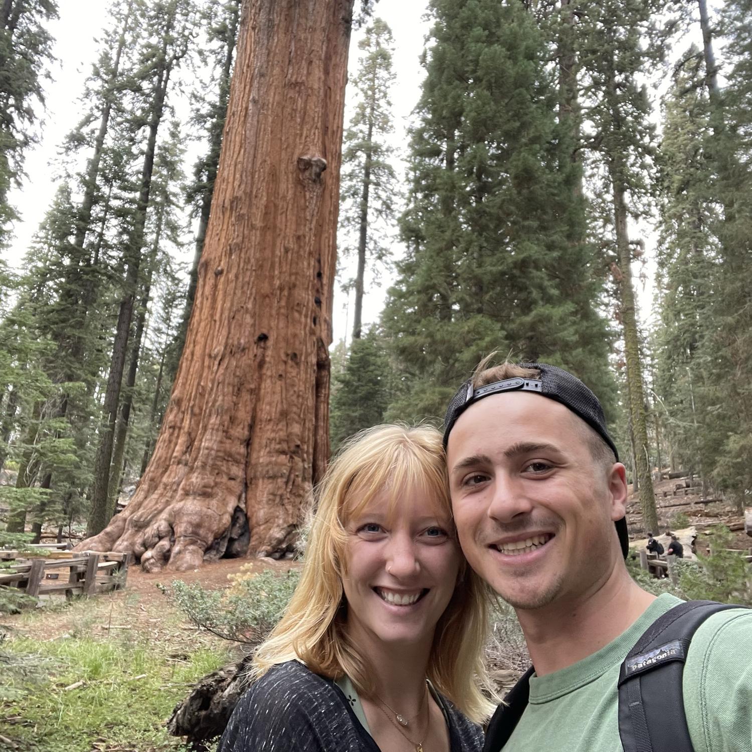 Sequoia National Park