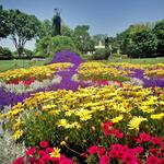The Dallas Arboretum and Botanical Garden