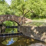 Reverchon Park
