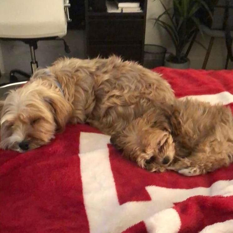 Mylo and Winnie cuddles
