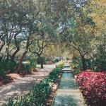 WaterColor Gardens