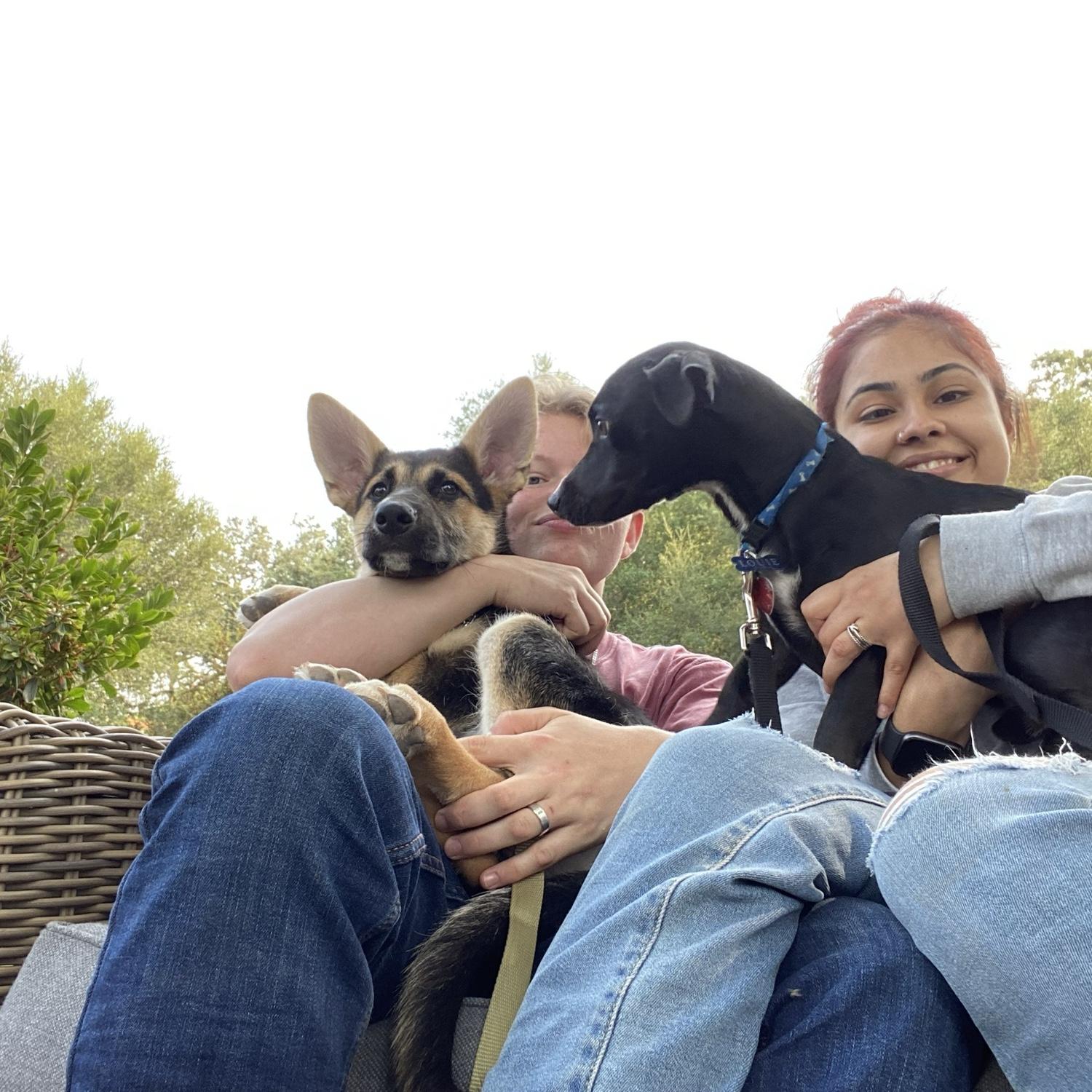 Brought our fur babies to Carmel