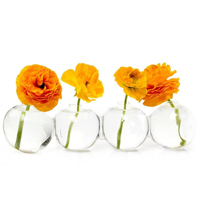 Caterpillar, Large Clear Glass Bud Vase 13" Long 4" Wide 3.5” Tall for Short Flowers, Unique Low Sitting Flower Vase, Cute Floral Vase for Home Decor, Weddings, Floral Arrangements, Arranging