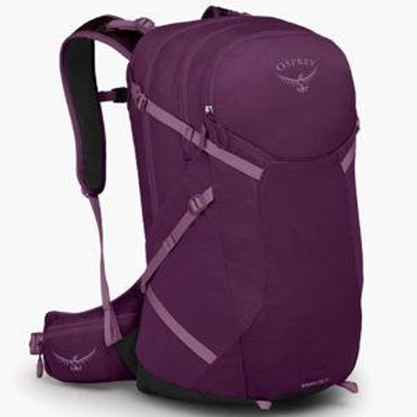 Osprey Sportlite 25 Pack | REI Co-op - Abuergine