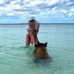 Swim with the Pigs of No Name Cay!