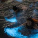 La Parguera Bioluminescent Bay