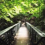 Umstead Park - Reedy Creek Parking