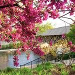 Naperville Riverwalk