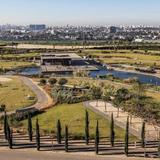 Ariel Sharon Park