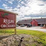 Rulfs Orchard