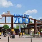 Kansas City Zoo