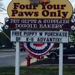 Four Your Paws Only