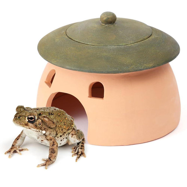 Terracotta Reptile Cave with Green Lid - 8 * 6 Inches Hiding Place for Toad, Frog, Turtle, Lizard