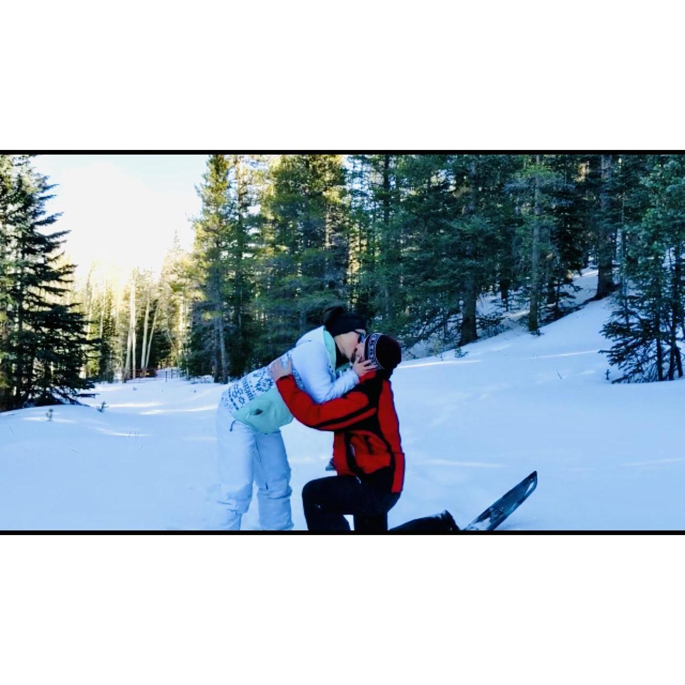 The proposal (part 3)