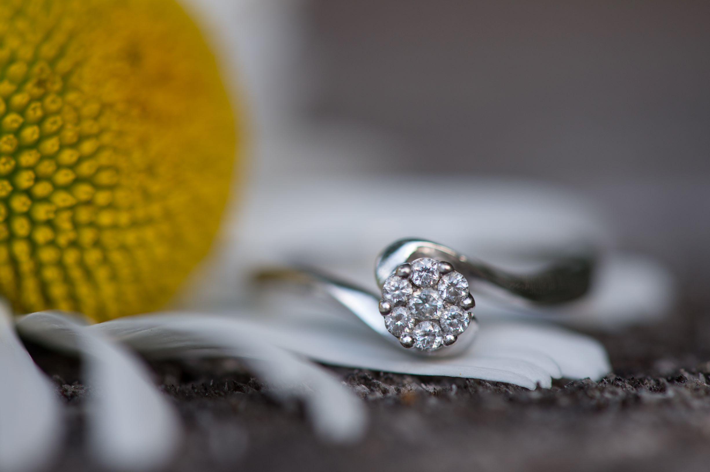 The Wedding Website of Trina Pharand and Rob Hayden