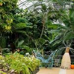 Krohn Conservatory