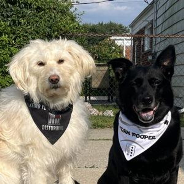 Our Pet Toy Fund