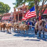 Fort Worth Herd Cattle Drive