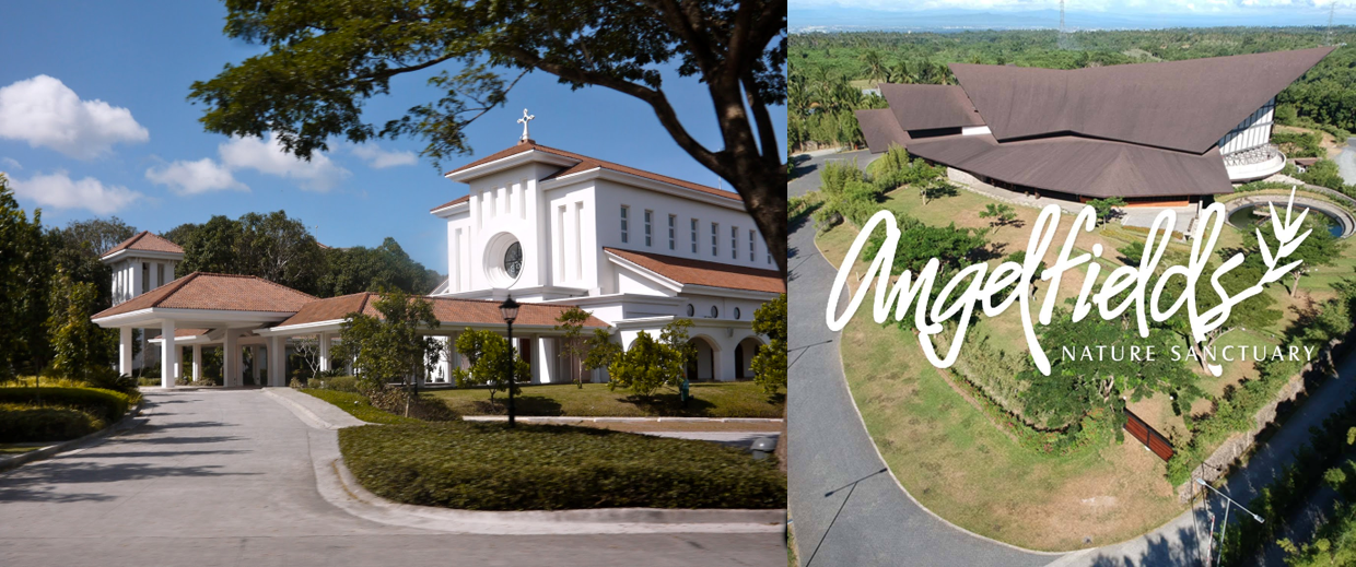 The Wedding Website of MaryClaire Bullina and Robert DelaCruz