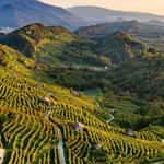 Colline del Prosecco di Valdobbiadene e Conegliano