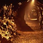 Aillwee Burren Experience