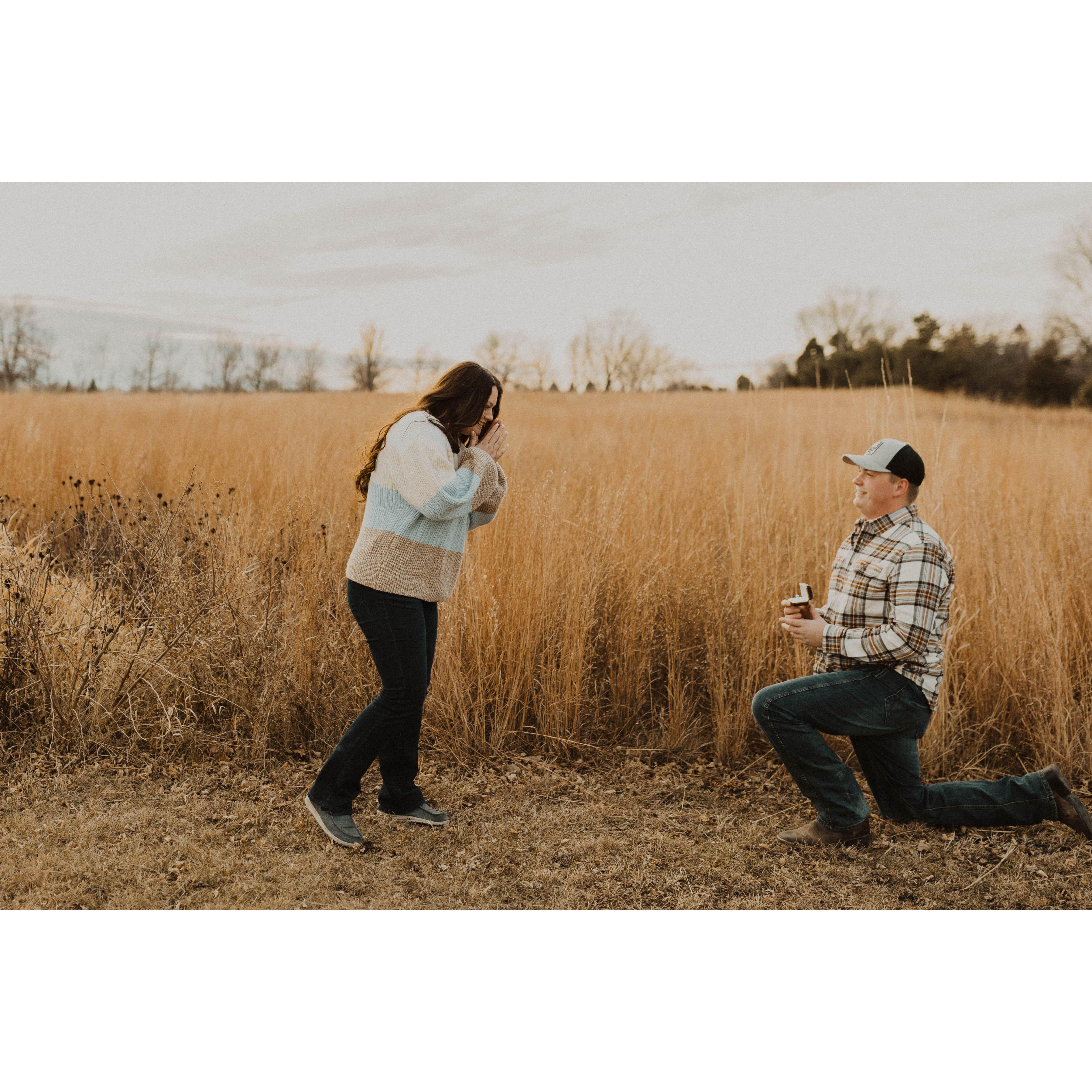 The big surprise during a couples photoshoot with the Grey Collective!