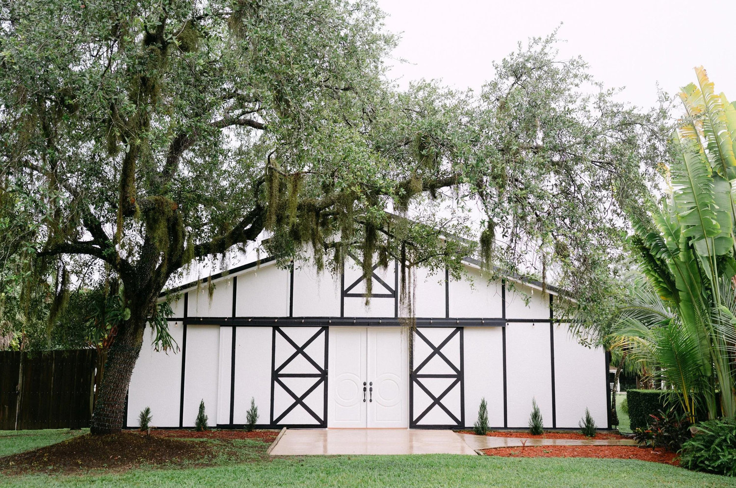 The Wedding Website of Milvia Castellano and Joseph Zapater