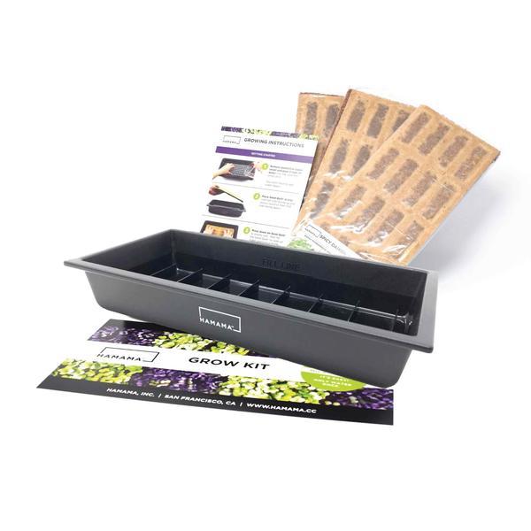 Microgreens Starter Kit