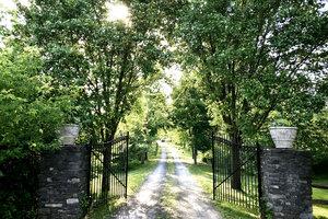 The Wedding Website of Camille Plummer and Mark Peart