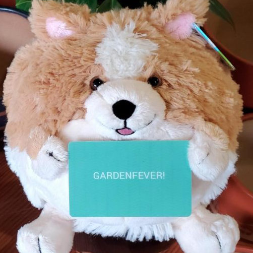 Garden Fever Plant Nursery Gift Card